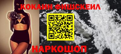 дмт Кингисепп