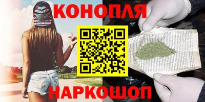 дмт Кингисепп