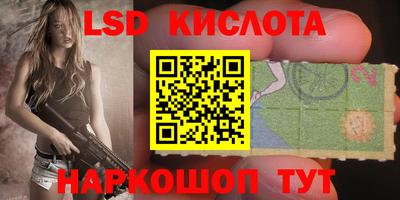 дмт Кингисепп
