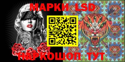 дмт Кингисепп