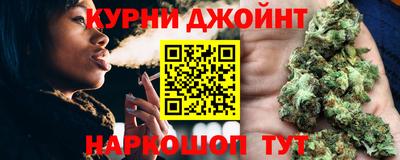 дмт Кингисепп