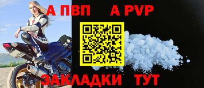 дмт Кингисепп